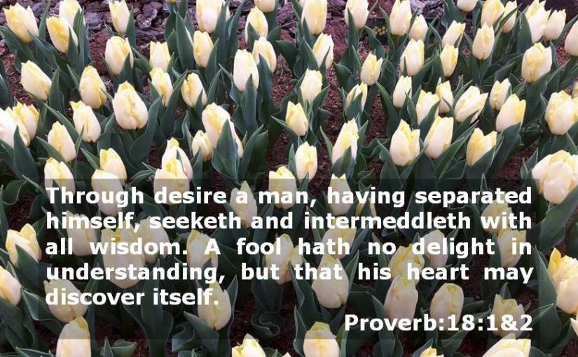 One Wife For Seven Brothers in the Resurrection